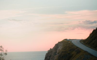 Proactive approach to inclusion and accessibility by creating a caring culture