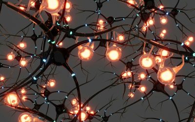 Creating Neuro-Inclusive Workplaces: Why It Matters and How to Start