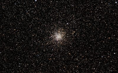 My Brain Glitched Again: My Experience Living and Working with FND